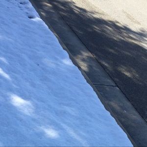 Meet your Posher, Daisy